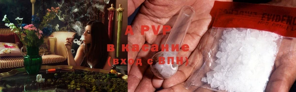сатива Братск