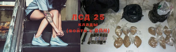 сатива Братск