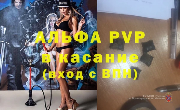 сатива Братск
