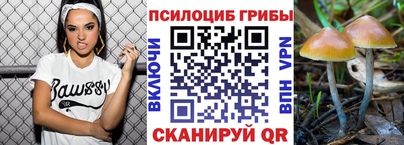 Галлюциногенные грибы GOLDEN TEACHER  OMG маркетплейс  Бологое 